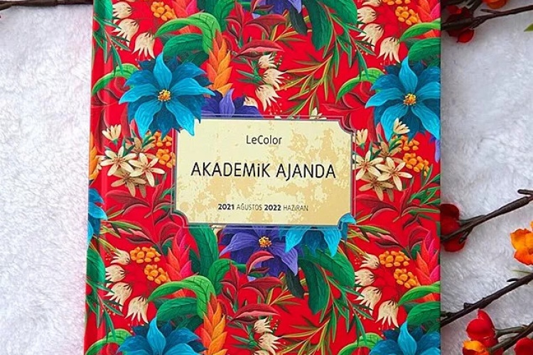 Akademik bir kariyeri olan herkeste olması gereken bir ajanda.